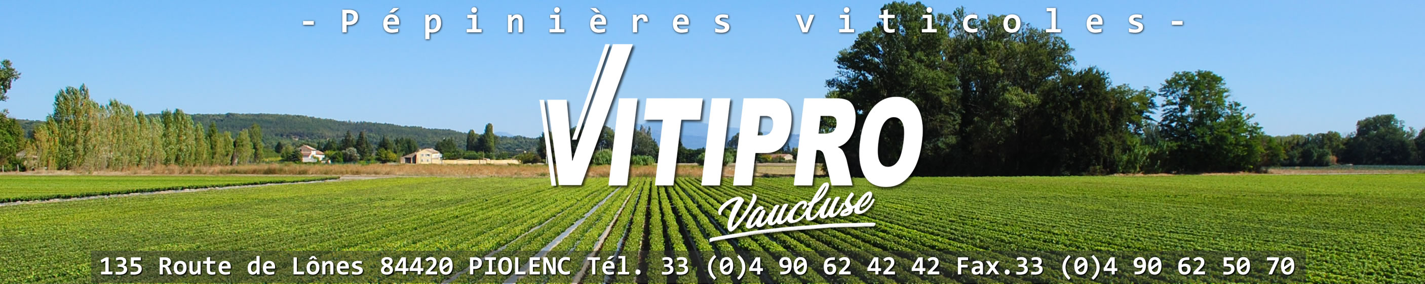 VITIPRO